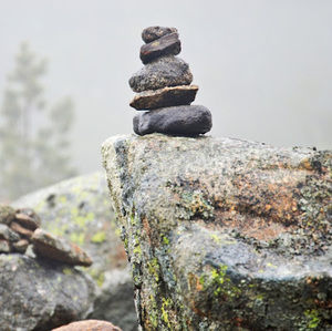 Meet your Posher, Cecilia